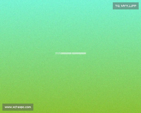 2025年欧冠赛程全面解析 各大豪门对决看点提前预告